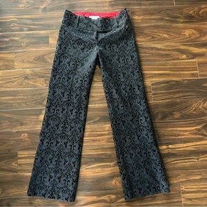 Women’s Dress Pants